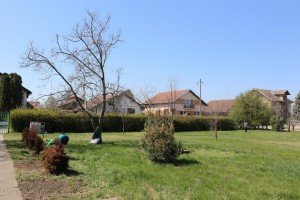 Sadnja mladica drveća u dvorištu vrtića "Hajdi"