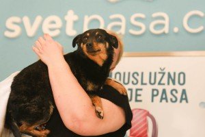 Samouslužno kupanje pasa "Svet pasa"