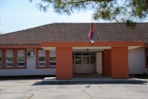 Akcija sadnje stabala crnog bora, breze i lipe