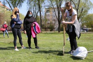 Akcija sadnje stabala crnog bora, breze i lipe