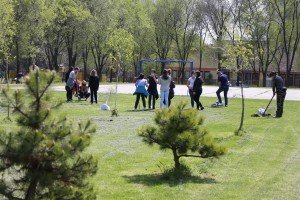 Akcija sadnje stabala crnog bora, breze i lipe