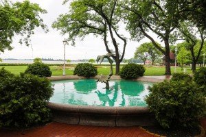 Prezentacija rezultata istraživanja o uzrocima sezonskog uginuća ribe u Palićkom jezeru