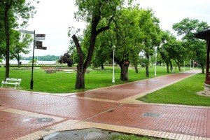 Prezentacija rezultata istraživanja o uzrocima sezonskog uginuća ribe u Palićkom jezeru