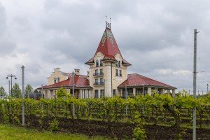 Prijem turista iz Ruske Federacije u vinariji ,,Zvonko Bogdan“