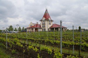 Prijem turista iz Ruske Federacije u vinariji ,,Zvonko Bogdan“