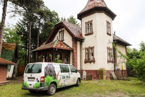 Puštanje orla belorepana u prirodno stanište