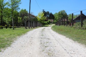 Obilazak uređenih ulica u MZ "Peščara"