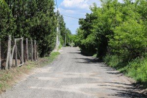 Obilazak uređenih ulica u MZ "Peščara"