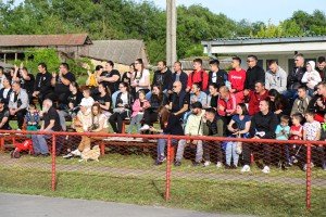 Humanitarna fudbalska utakmica asova srpskog fudbala