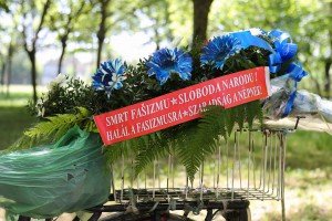 Obeležavanje Dana mladosti