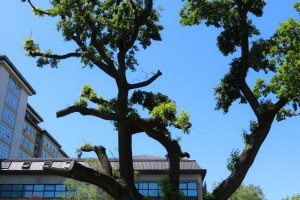 Uručenje donacije dečjem odeljenju bolnice