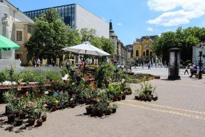 Otvaranje Cvetne pijace