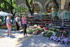 Otvaranje Cvetne pijace