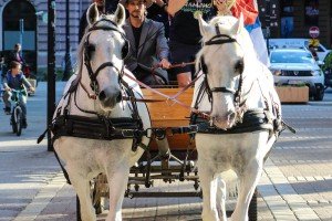 Proslava duple krune ŽFK "Spartak"