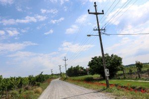 Obilazak neasfaltirane ulice Ane Frank na Makovoj sedmici
