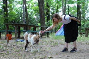 Najava programa 2. festivala "Ekoslavija"