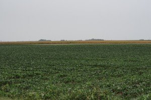 Obilazak preduzeća "Pro-sklad" u Novom Žedniku