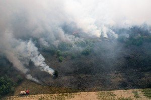 Požar u Radanovačkoj šumi