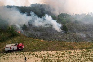 Požar u Radanovačkoj šumi