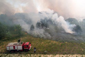 Požar u Radanovačkoj šumi