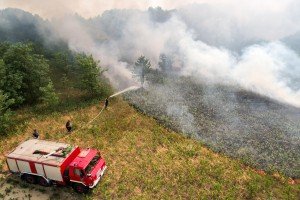 Požar u Radanovačkoj šumi