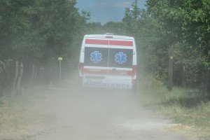 Požar u Radanovačkoj šumi