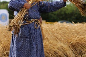 Takmičenje risara u Đurđinu