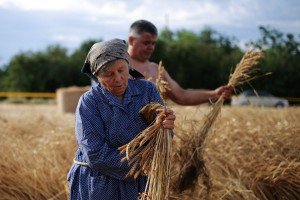 Takmičenje risara u Đurđinu