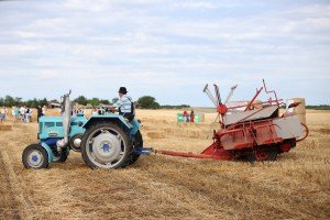 Takmičenje risara u Đurđinu