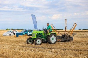 Takmičenje risara u Đurđinu