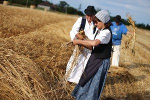 Takmičenje risara u Đurđinu