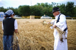 Takmičenje risara u Đurđinu