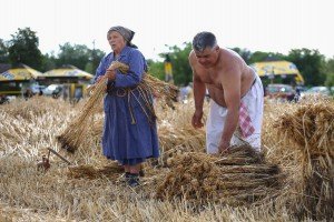 Takmičenje risara u Đurđinu