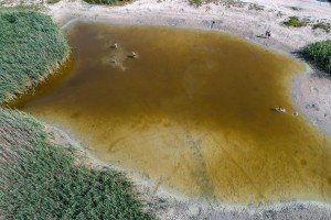 Jezero "Majdan" nestaje, isušuje se...