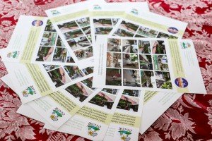 Оkrugli sto sa predstavnicima lokalne samouprave po pitanju poboljšanja biciklističke infrastrukture