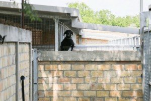 Poseta Prihvatilištu za napuštene pse i mačke