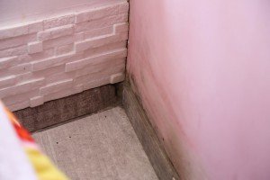 Problemi sa poplavama u ulici Kalora Milodanovića