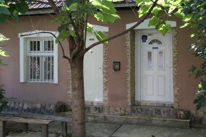 Problemi sa poplavama u ulici Kalora Milodanovića