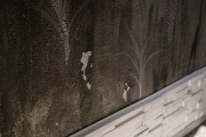 Problemi sa poplavama u ulici Kalora Milodanovića