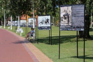 Otkrivanje turističkih tabli Lajošu Vermešu na Paliću