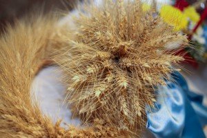 Otvaranje "Izložbe kruva - somuna"