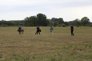 Premeštanje tekunica (vrsta veverice) u zaštićeno područje Subotičke peščare