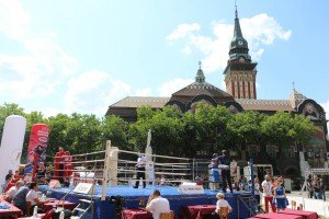 Boks: 39. "Vojvođanska zlatna rukavica" - finalne borbe