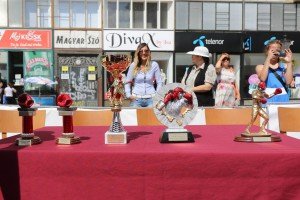 Boks: 39. "Vojvođanska zlatna rukavica" - finalne borbe