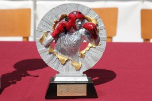 Boks: 39. "Vojvođanska zlatna rukavica" - finalne borbe