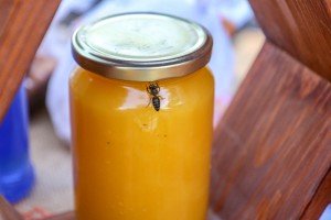 Otvaranje 24. "Dana pčelarstva"