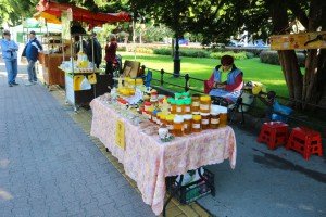 Otvaranje 24. "Dana pčelarstva"