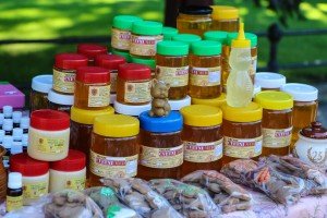 Otvaranje 24. "Dana pčelarstva"