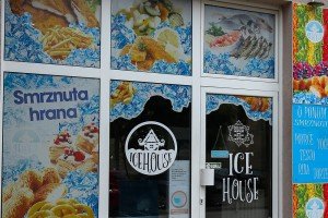 Specijalizovana prodavnica smrznute hrane "Ice House"