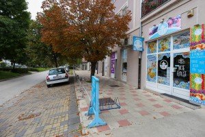 Specijalizovana prodavnica smrznute hrane "Ice House"